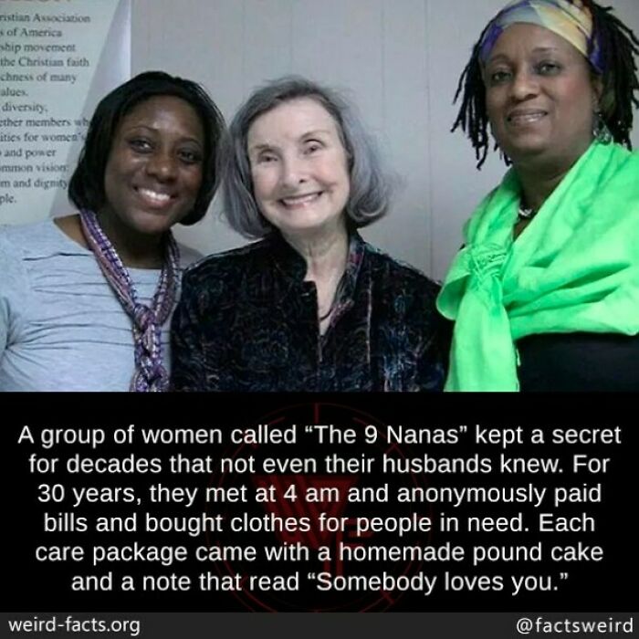 67 Fascinating And Amusing Fun Facts That Might Teach You Something New (New Pics) 67 Fascinating And Amusing Fun Facts That Might Teach You Something New (New Pics)