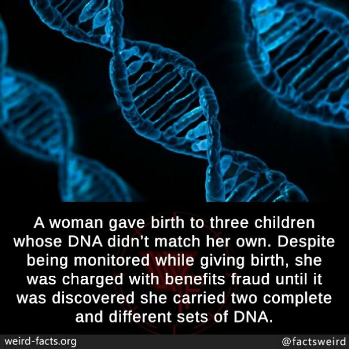 67 Fascinating And Amusing Fun Facts That Might Teach You Something New (New Pics) 67 Fascinating And Amusing Fun Facts That Might Teach You Something New (New Pics)