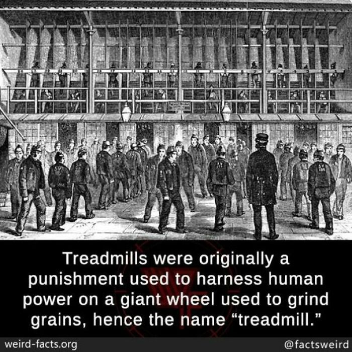 67 Fascinating And Amusing Fun Facts That Might Teach You Something New (New Pics) 67 Fascinating And Amusing Fun Facts That Might Teach You Something New (New Pics)