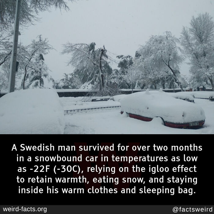 67 Fascinating And Amusing Fun Facts That Might Teach You Something New (New Pics) 67 Fascinating And Amusing Fun Facts That Might Teach You Something New (New Pics)