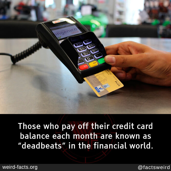 67 Fascinating And Amusing Fun Facts That Might Teach You Something New (New Pics) 67 Fascinating And Amusing Fun Facts That Might Teach You Something New (New Pics)