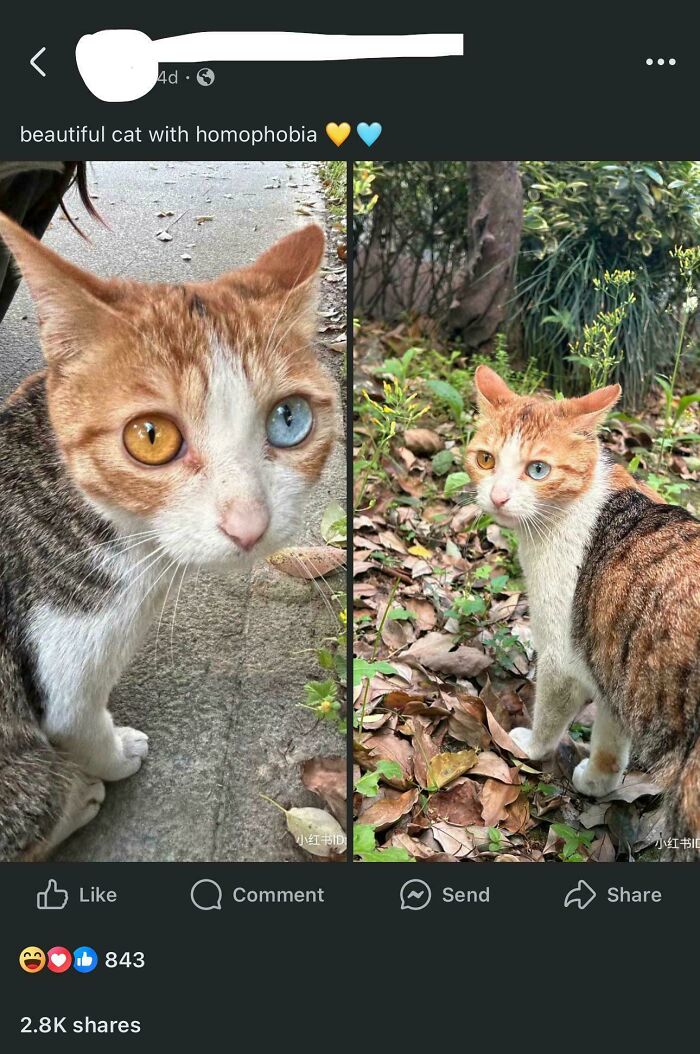 64 Funny And Awkward Moments When An Attempt Was Made But Didn’t Go As Expected (New Pics) 64 Funny And Awkward Moments When An Attempt Was Made But Didn’t Go As Expected (New Pics)