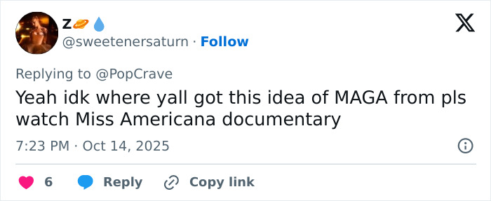 Taylor Swift Targeted By Fake Conspiracy Claiming She Uses Coded White-Nationalist Messages