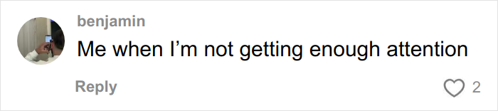 “Woke” Social Media User Hilariously Trolled Over Her “Decolonized Christmas” “Woke” Social Media User Hilariously Trolled Over Her “Decolonized Christmas”