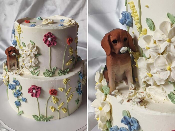 102 Photos Of Masterfully Crafted Cakes That Show Human Creativity Has No Limits (New Pics) 102 Photos Of Masterfully Crafted Cakes That Show Human Creativity Has No Limits (New Pics)
