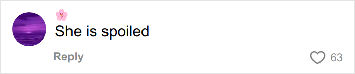 Mom’s Xmas Gift Avalanche For 12-Year-Old Daughter Leaves Internet Arguing If It’s Normal Mom’s Xmas Gift Avalanche For 12-Year-Old Daughter Leaves Internet Arguing If It’s Normal