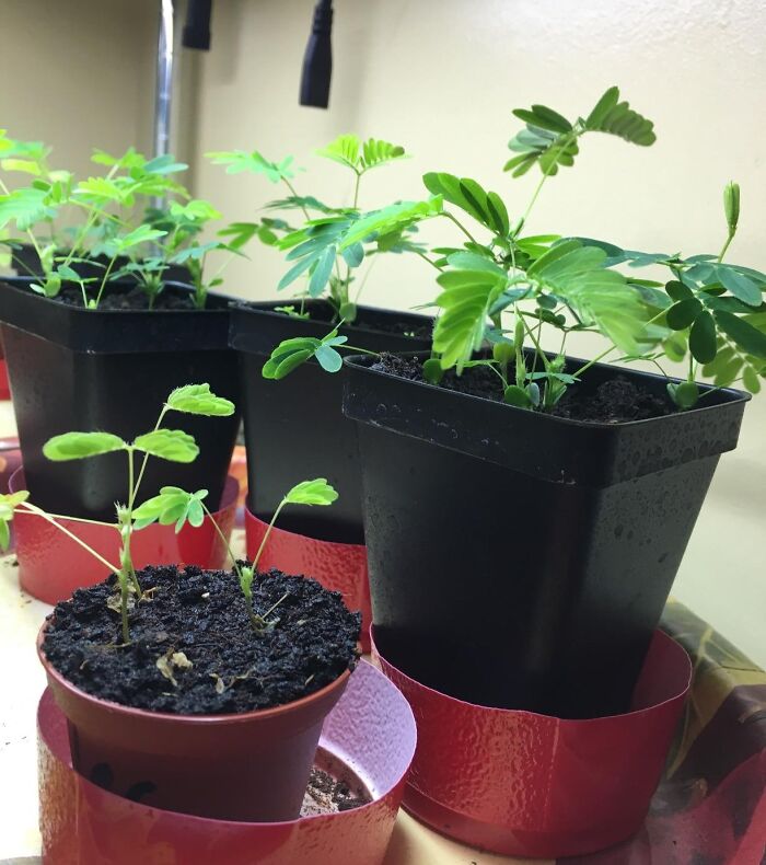 The Stocking Is No Longer The Opening Act, It’s The Headliner Thanks To These 23 Gifts The Stocking Is No Longer The Opening Act, It’s The Headliner Thanks To These 23 Gifts