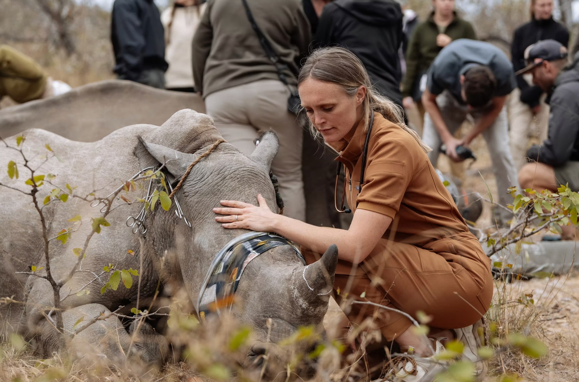 From Airlifting Rhinos To Using Calvin Klein To Catch Leopards: My Daily Life As A Wildlife Vet (10 Pics) From Airlifting Rhinos To Using Calvin Klein To Catch Leopards: My Daily Life As A Wildlife Vet (10 Pics)