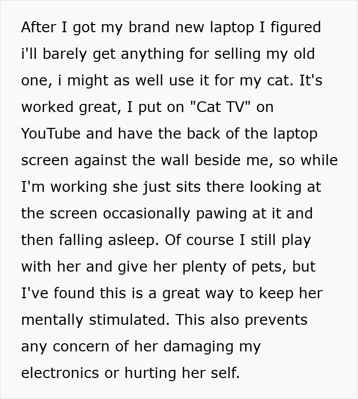 Guy Splits The Internet After Giving His Old Laptop To His Cat Instead Of His Sister Guy Splits The Internet After Giving His Old Laptop To His Cat Instead Of His Sister