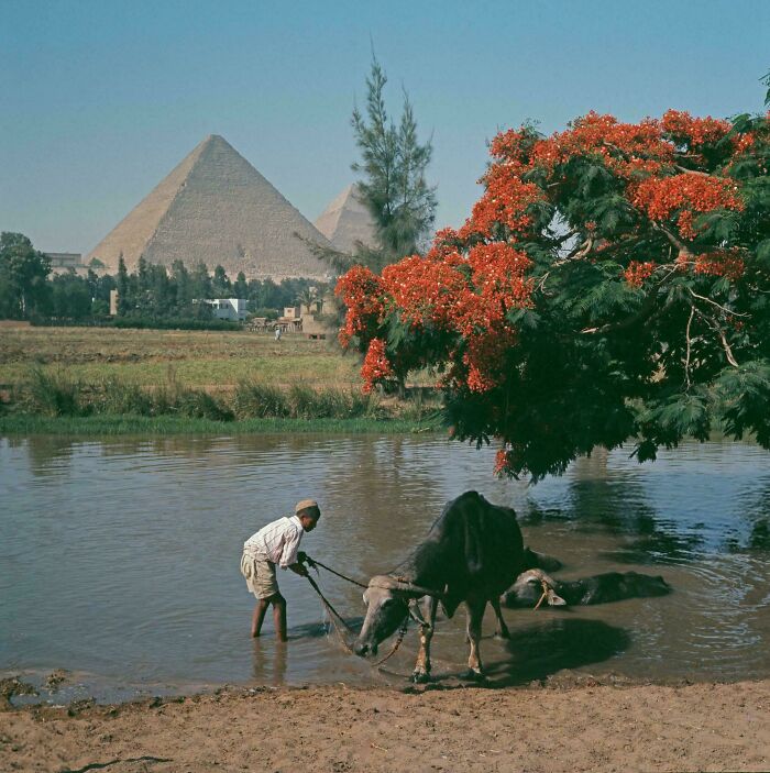 59 Incredible Photographs From Ancient Egypt That Might Teach You Something New