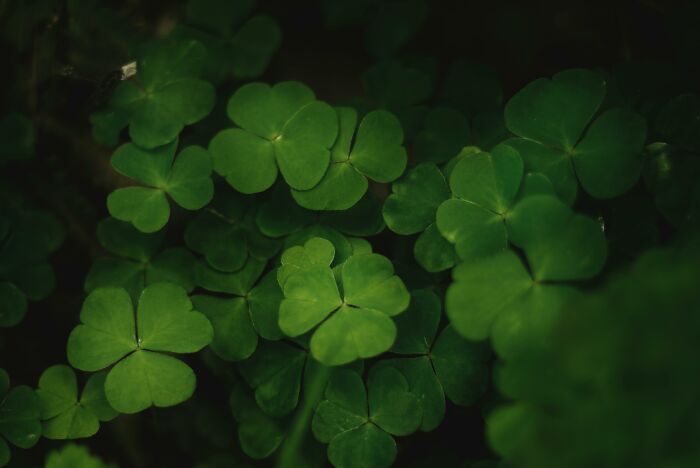 &ldquo;Public Speaking Or Deep Water?&rdquo;: Decide Between 30 &lsquo;Would You Rather&rsquo; Dilemmas