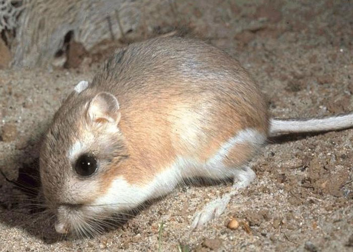 80 Interesting “Today I Learned” Facts If You Are Sick And Tired Of The News (New Pics) 80 Interesting “Today I Learned” Facts If You Are Sick And Tired Of The News (New Pics)