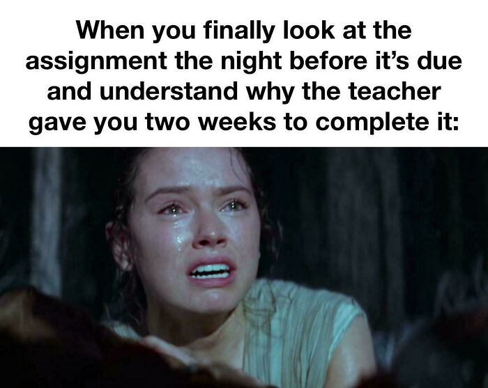 72 College Memes For Students Running On Hope And Energy Drinks 72 College Memes For Students Running On Hope And Energy Drinks