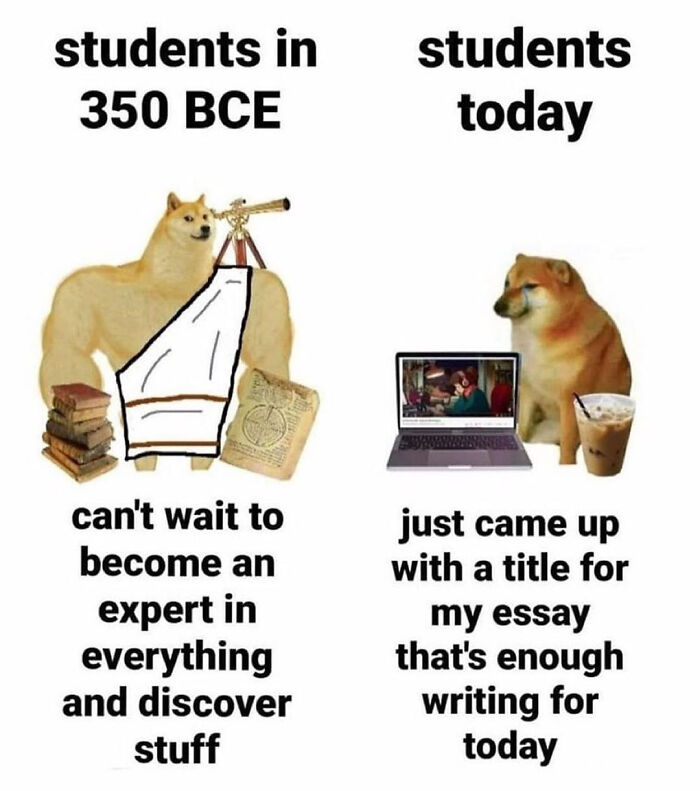 72 College Memes For Students Running On Hope And Energy Drinks 72 College Memes For Students Running On Hope And Energy Drinks