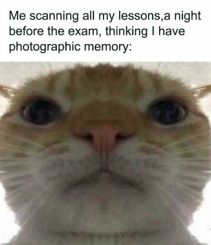 72 College Memes For Students Running On Hope And Energy Drinks 72 College Memes For Students Running On Hope And Energy Drinks