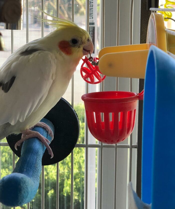 27 Gifts To Spoil Your Pet With, Because Let’s Be Honest, They’re The Favorite Child 27 Gifts To Spoil Your Pet With, Because Let’s Be Honest, They’re The Favorite Child