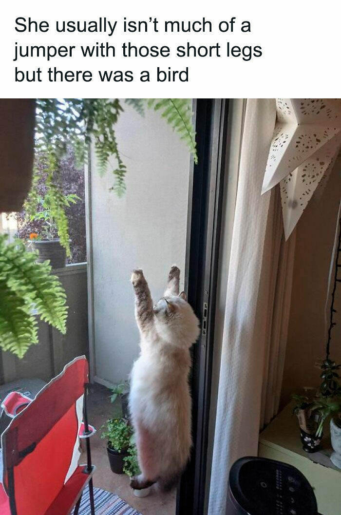 67 Cheerful Memes That Don’t Make You Feel Bad For Wasting Your Time Online (New Pics) 67 Cheerful Memes That Don’t Make You Feel Bad For Wasting Your Time Online (New Pics)