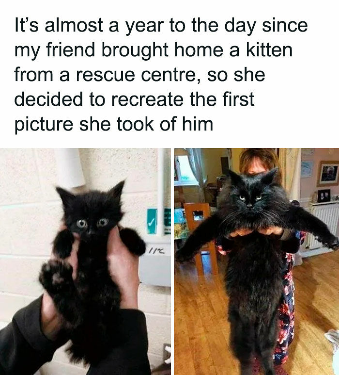 67 Cheerful Memes That Don’t Make You Feel Bad For Wasting Your Time Online (New Pics) 67 Cheerful Memes That Don’t Make You Feel Bad For Wasting Your Time Online (New Pics)