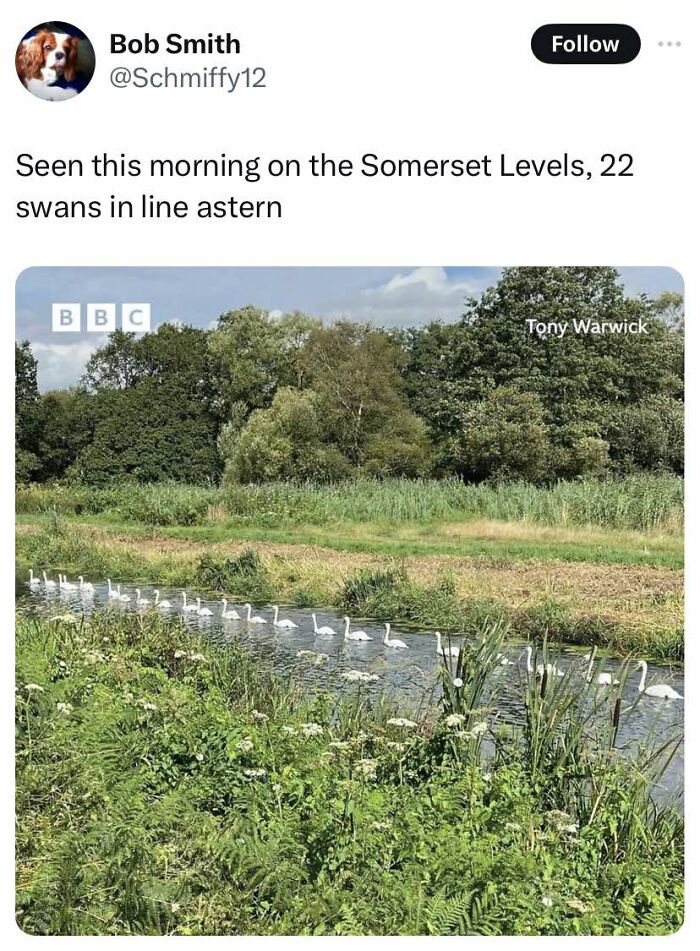 67 Cheerful Memes That Don’t Make You Feel Bad For Wasting Your Time Online (New Pics) 67 Cheerful Memes That Don’t Make You Feel Bad For Wasting Your Time Online (New Pics)