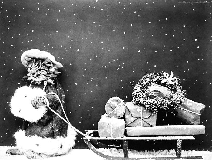 92 Powerful Old Photos That Capture Emotion, Culture, And Everyday Life In The Past