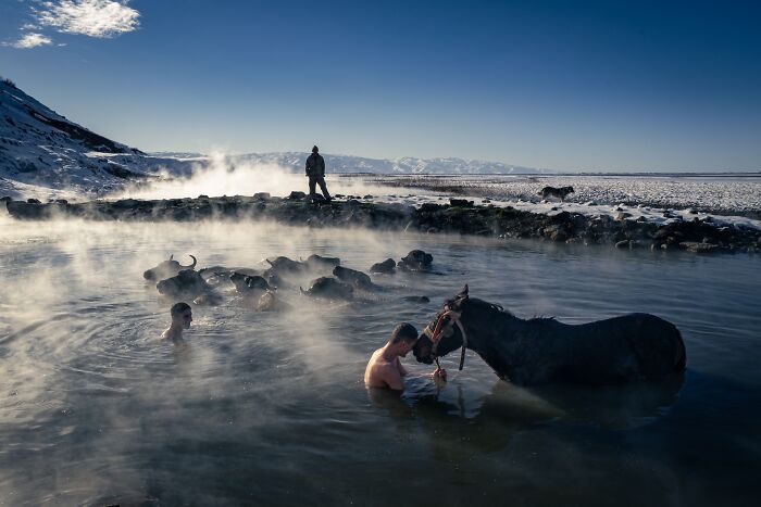 Steve Mccurry Juror Of All About Photo Awards 2026! Steve Mccurry Juror Of All About Photo Awards 2026!