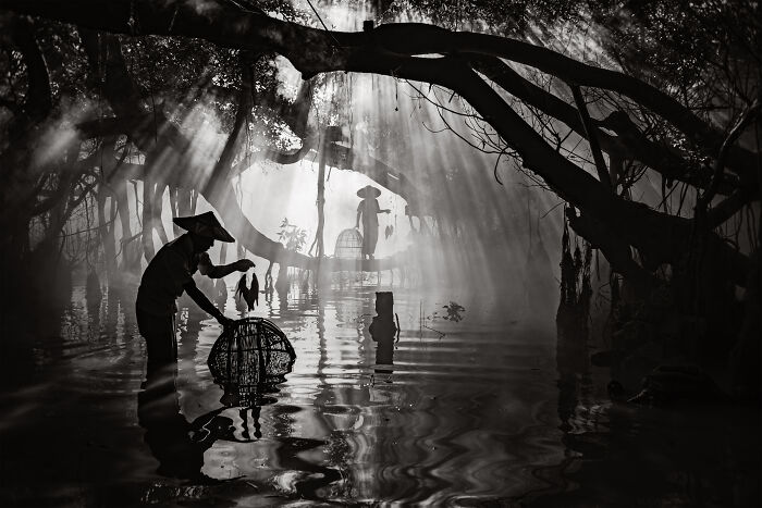 Steve Mccurry Juror Of All About Photo Awards 2026! Steve Mccurry Juror Of All About Photo Awards 2026!