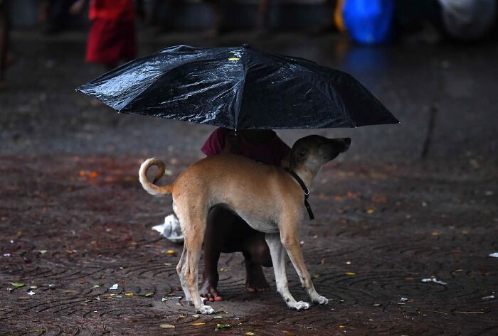 29 Stunning Street Photos That Capture Everyday Life In Mumbai