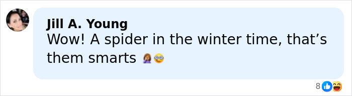 &ldquo;Horrific&rdquo;: DoorDasher Arrested After Allegedly Pepper-Spraying Food Offers Bizarre Excuse