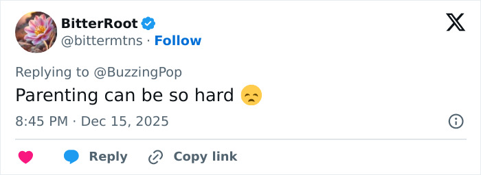 Rob Reiner And Son Nick Fought At Conan O’Brien’s Christmas Party 24 Hours Before Fatal Incident Rob Reiner And Son Nick Fought At Conan O’Brien’s Christmas Party 24 Hours Before Fatal Incident