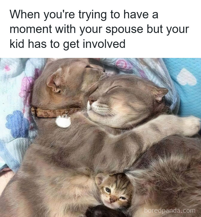74 Funny And Savage Parenting Memes To Scroll Through While You Hide From Your Kids In The Bathroom