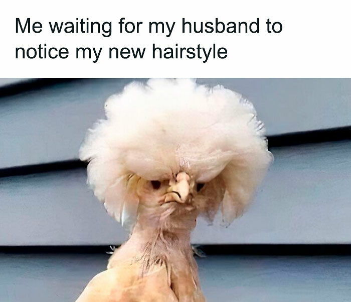 74 Funny And Savage Parenting Memes To Scroll Through While You Hide From Your Kids In The Bathroom