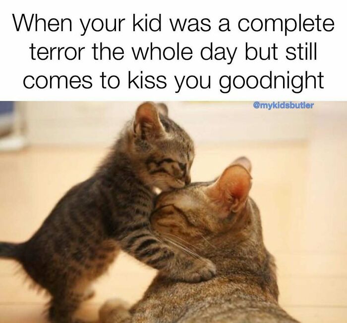 74 Funny And Savage Parenting Memes To Scroll Through While You Hide From Your Kids In The Bathroom