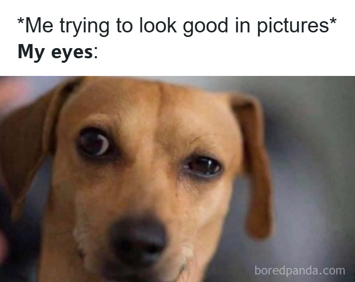 120 Hilarious Memes That Make You Forget What You Were Stressed About 120 Hilarious Memes That Make You Forget What You Were Stressed About