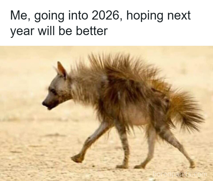 120 Hilarious Memes That Make You Forget What You Were Stressed About 120 Hilarious Memes That Make You Forget What You Were Stressed About