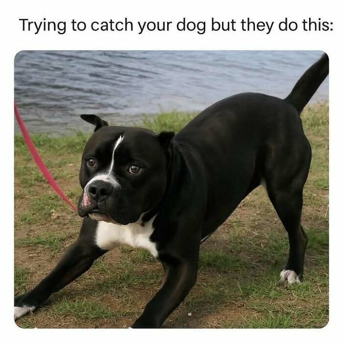 120 Hilarious Memes That Make You Forget What You Were Stressed About 120 Hilarious Memes That Make You Forget What You Were Stressed About