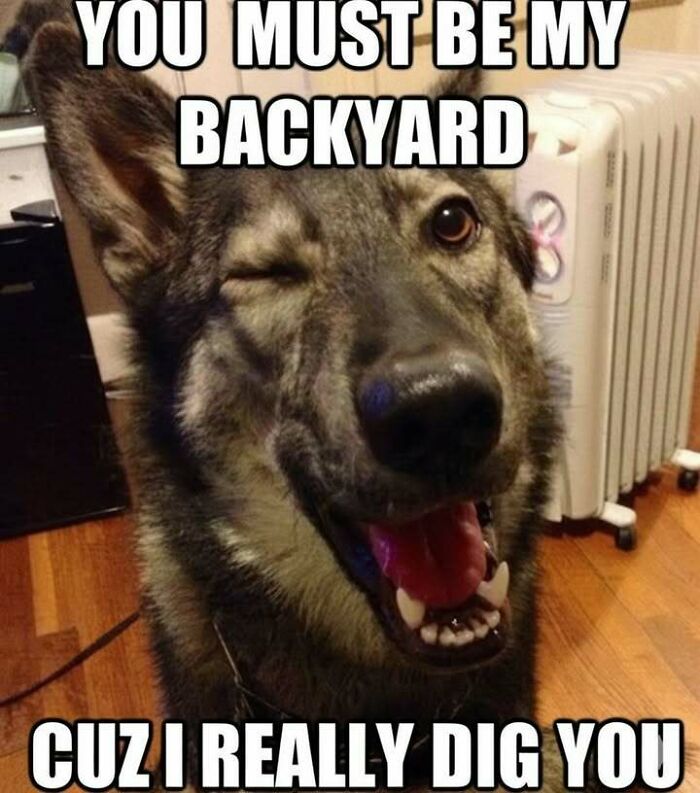 120 Hilarious Memes That Make You Forget What You Were Stressed About 120 Hilarious Memes That Make You Forget What You Were Stressed About