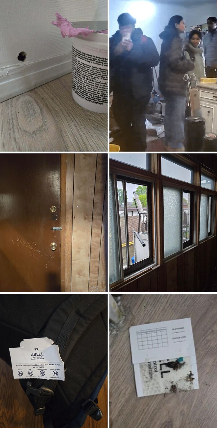 64 Rental Nightmares Where Landlords Tried To Cut Corners And Got Exposed