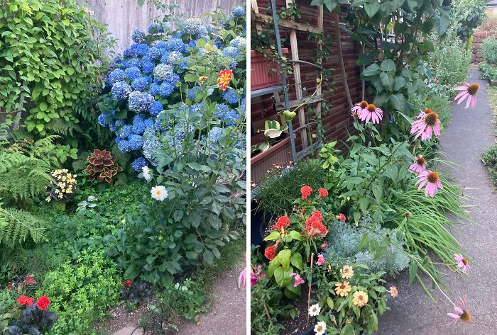 64 Rental Nightmares Where Landlords Tried To Cut Corners And Got Exposed