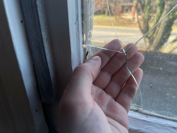 64 Rental Nightmares Where Landlords Tried To Cut Corners And Got Exposed