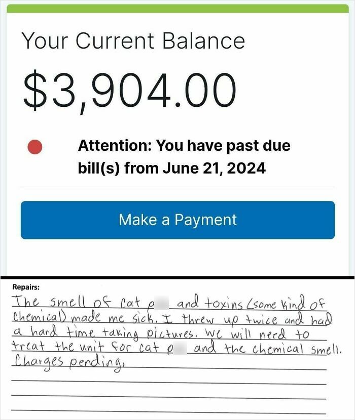 64 Rental Nightmares Where Landlords Tried To Cut Corners And Got Exposed