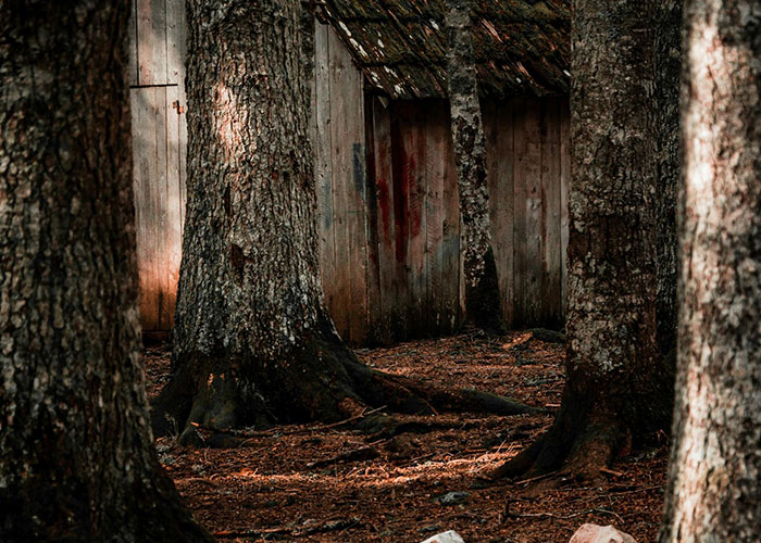 46 Creepy And Mysterious Things People Witnessed In Remote And Isolated Places