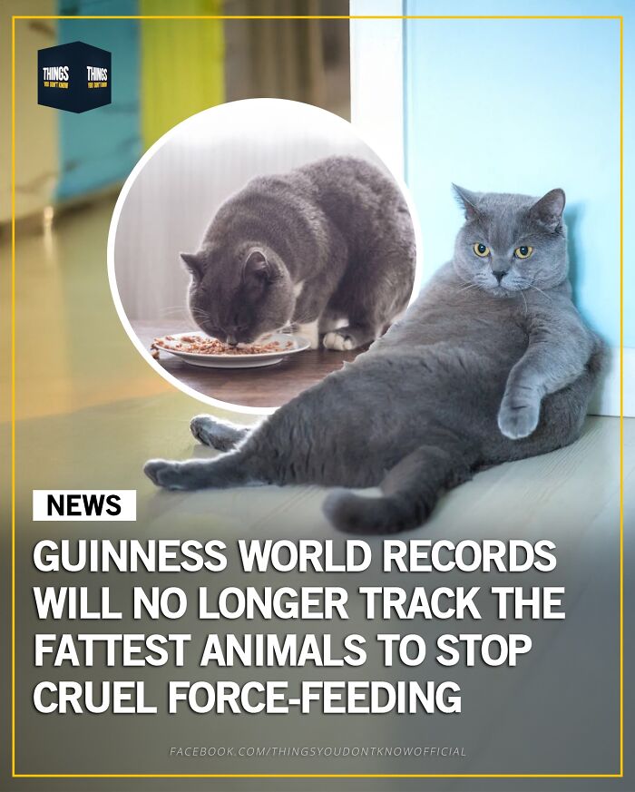 These 71 Compelling Facts And Stories Would Make Great Conversation Starters At A Dinner Party These 71 Compelling Facts And Stories Would Make Great Conversation Starters At A Dinner Party