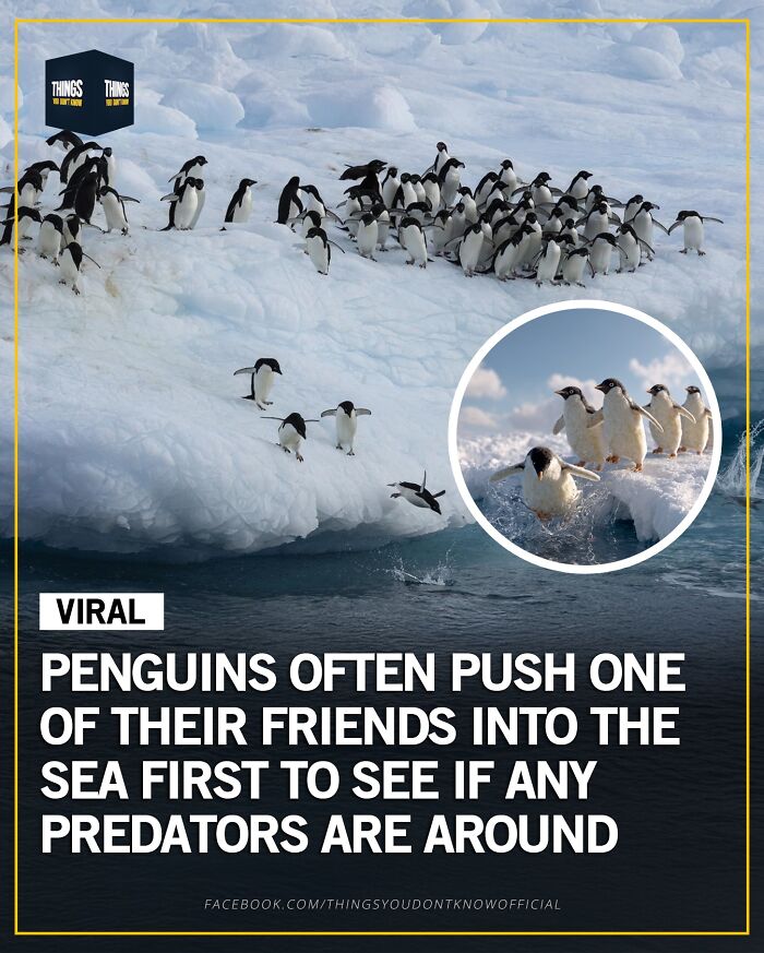 These 71 Compelling Facts And Stories Would Make Great Conversation Starters At A Dinner Party These 71 Compelling Facts And Stories Would Make Great Conversation Starters At A Dinner Party