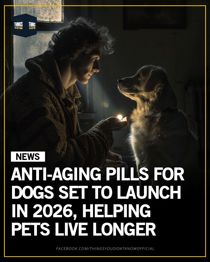 These 71 Compelling Facts And Stories Would Make Great Conversation Starters At A Dinner Party These 71 Compelling Facts And Stories Would Make Great Conversation Starters At A Dinner Party