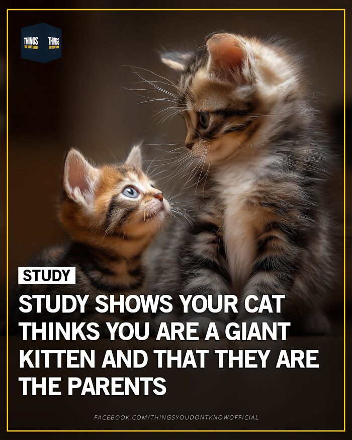 These 71 Compelling Facts And Stories Would Make Great Conversation Starters At A Dinner Party These 71 Compelling Facts And Stories Would Make Great Conversation Starters At A Dinner Party