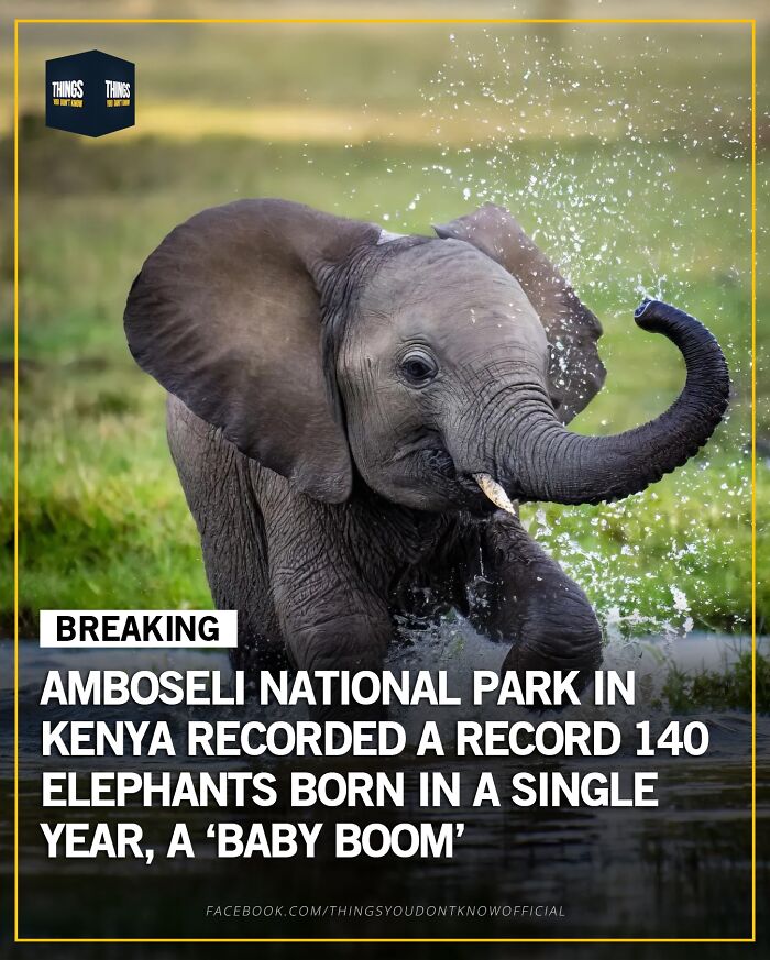 These 71 Compelling Facts And Stories Would Make Great Conversation Starters At A Dinner Party These 71 Compelling Facts And Stories Would Make Great Conversation Starters At A Dinner Party