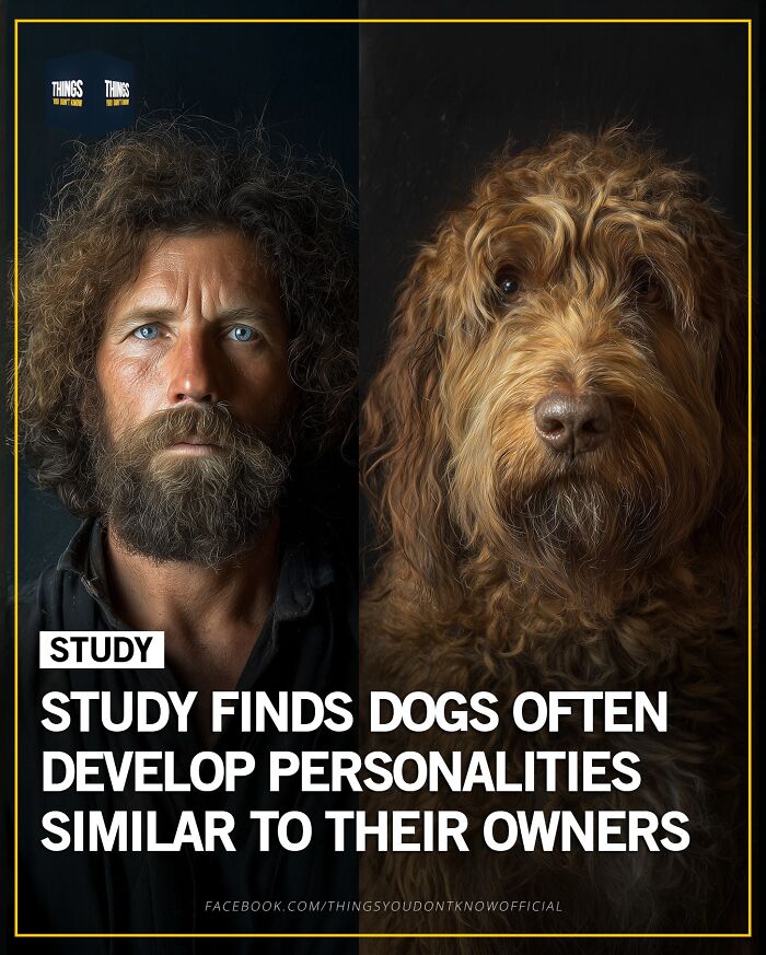 These 71 Compelling Facts And Stories Would Make Great Conversation Starters At A Dinner Party These 71 Compelling Facts And Stories Would Make Great Conversation Starters At A Dinner Party