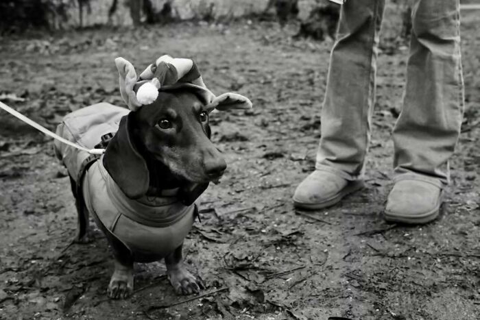 The Marvels Of Daily Life Captured In 45 New Stunning Photos By Mary Crnkovic Pilas The Marvels Of Daily Life Captured In 45 New Stunning Photos By Mary Crnkovic Pilas