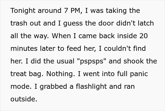 Woman Spends $430 On Injured Cat, Only To Realize Later It’s A Look-Alike Imposter, Not Her Pet