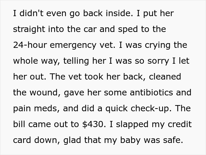 Woman Spends $430 On Injured Cat, Only To Realize Later It’s A Look-Alike Imposter, Not Her Pet